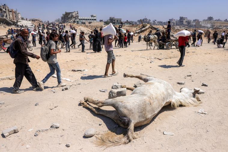 Trump annonce la mise en place de centres de distribution alimentaire à Gaza
