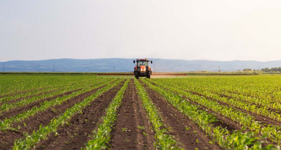 Quand la concurrence étrangère étrangle l’agriculture libanaise
