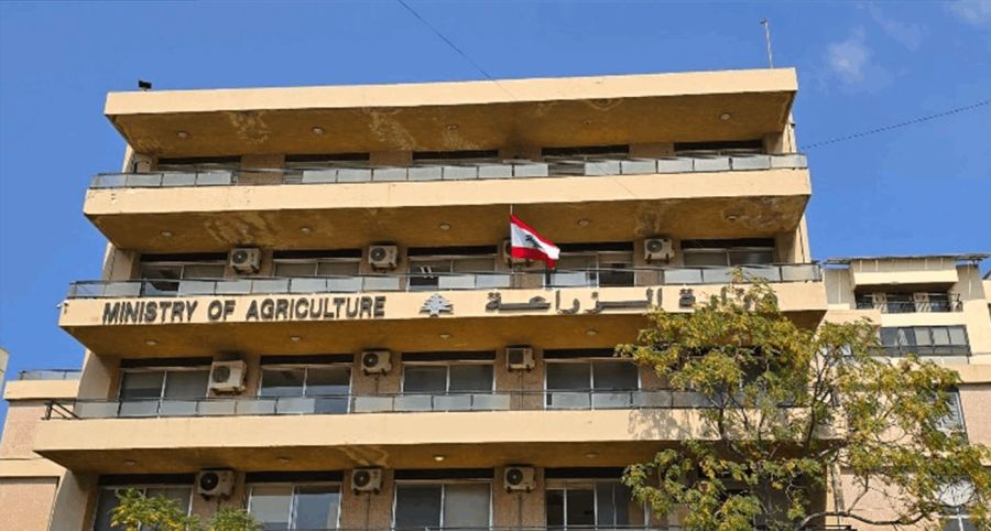 Agriculture au Liban: 704 millions de dollars de pertes recensées