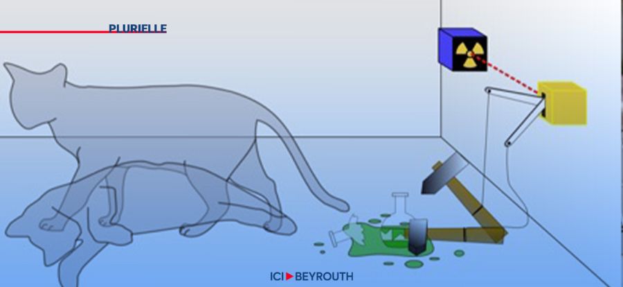 Mort ou vivant, le chat?