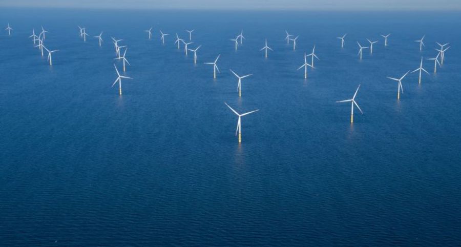 Réoxygénation de la Baltique: un plan pour sauver les écosystèmes marins