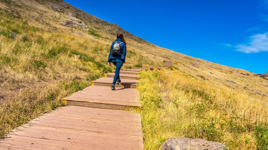 «Le chemin se fait en marchant» ou le pas qui crée la route
