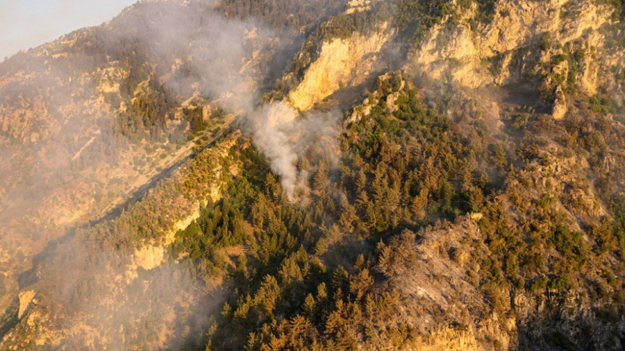 Plusieurs hectares de forêts ravagés par l’incendie de Wadi Jhannam