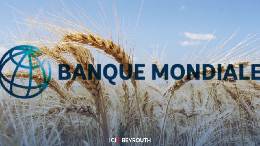 Blé: délégation de la Banque mondiale au Liban