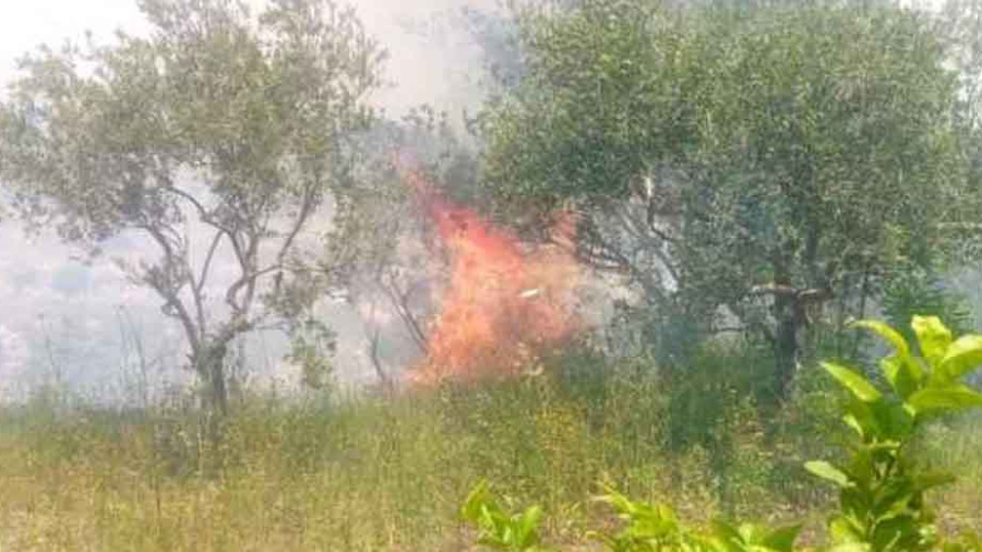 Incendie à al-Kharayeb, au Liban-Sud