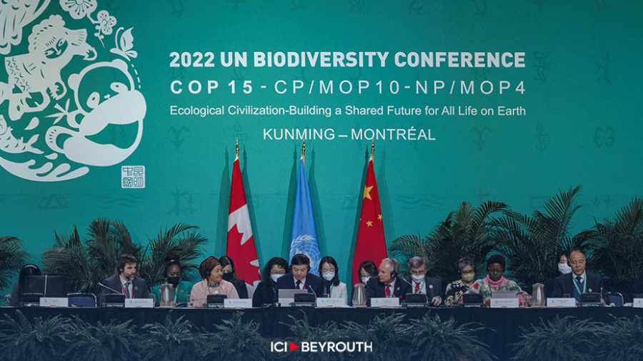 COP15: l’État aux abonnés absents 