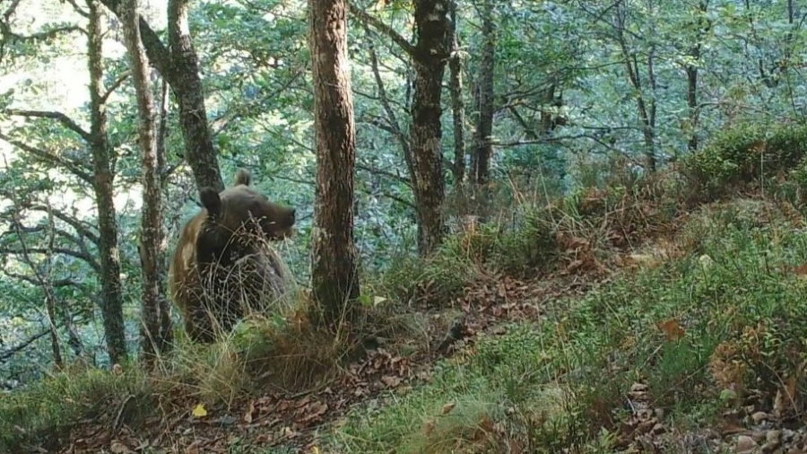 Biodiversité: les négociations piétinent à la COP15