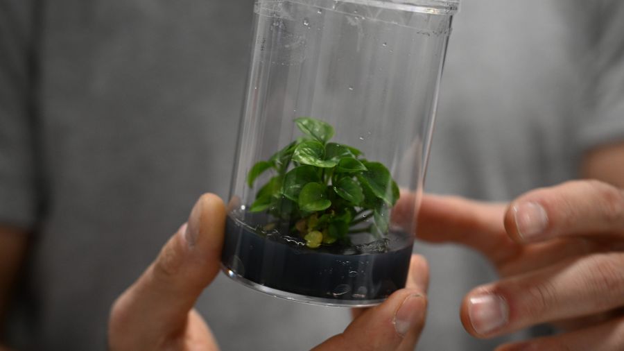 Au CES, la technologie se met au vert