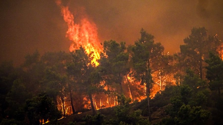 Incendies et record de chaleur assaillent la Méditerranée