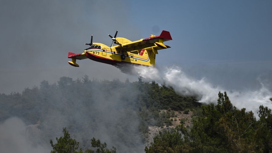 Les poumons verts de la Grèce brûlent