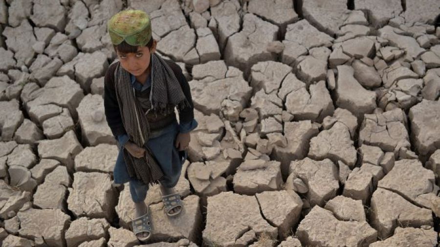 Survivre ou mourir, trois ans pour décider