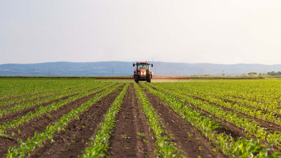 Quand la concurrence étrangère étrangle l’agriculture libanaise