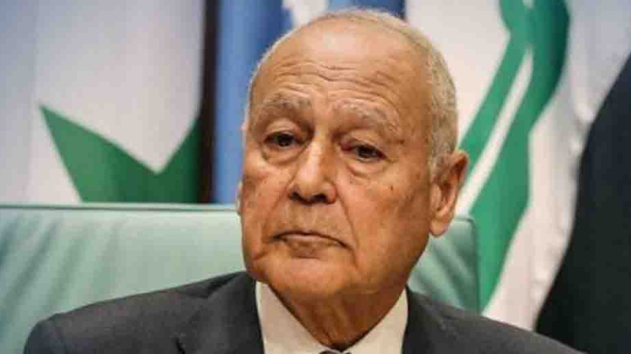 Crise: pas de solution sans président, selon Aboul Ghaith