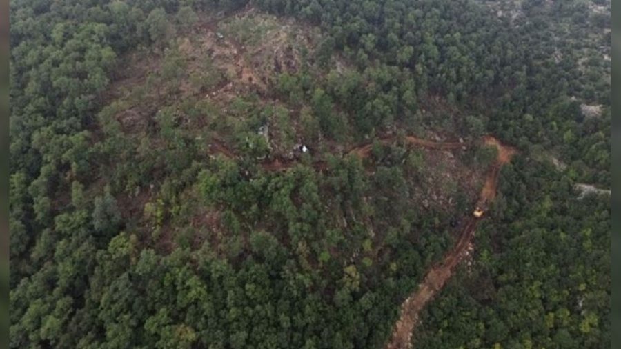 Massacre écologique au Akkar