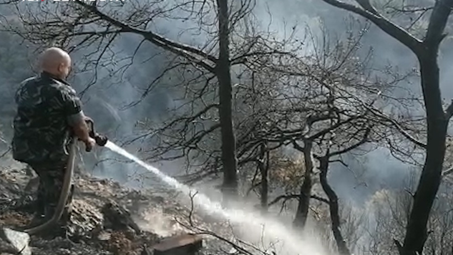 Bchamoun dévastée par les flammes
