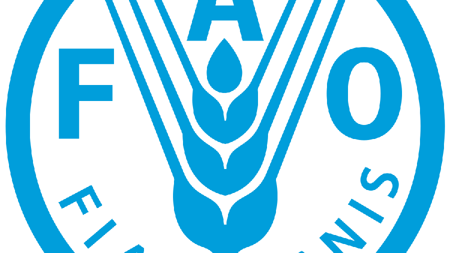 En 2024, les prix alimentaires mondiaux ont baissé de 2% selon la FAO