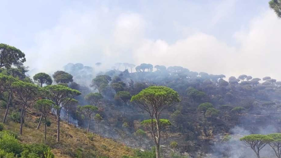 Ras el-Metn: deux incendies ravagent de vastes zones forestières