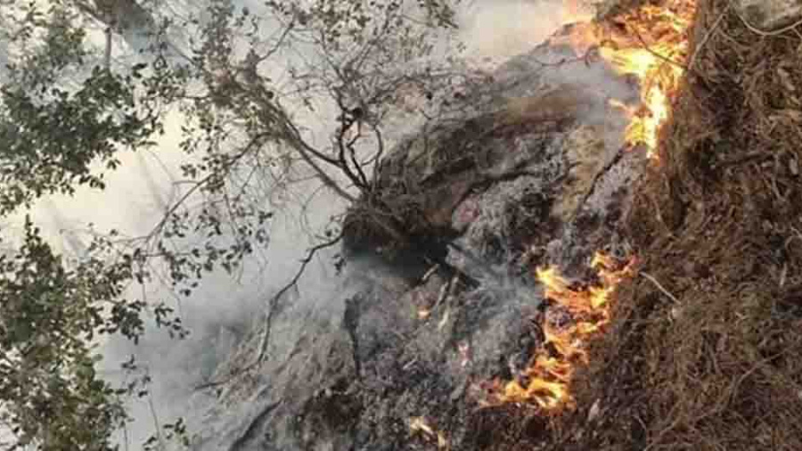 L’incendie de Mazboud maîtrisé