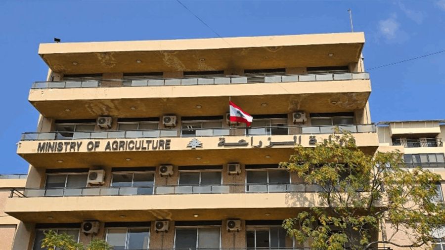 Agriculture au Liban: 704 millions de dollars de pertes recensées
