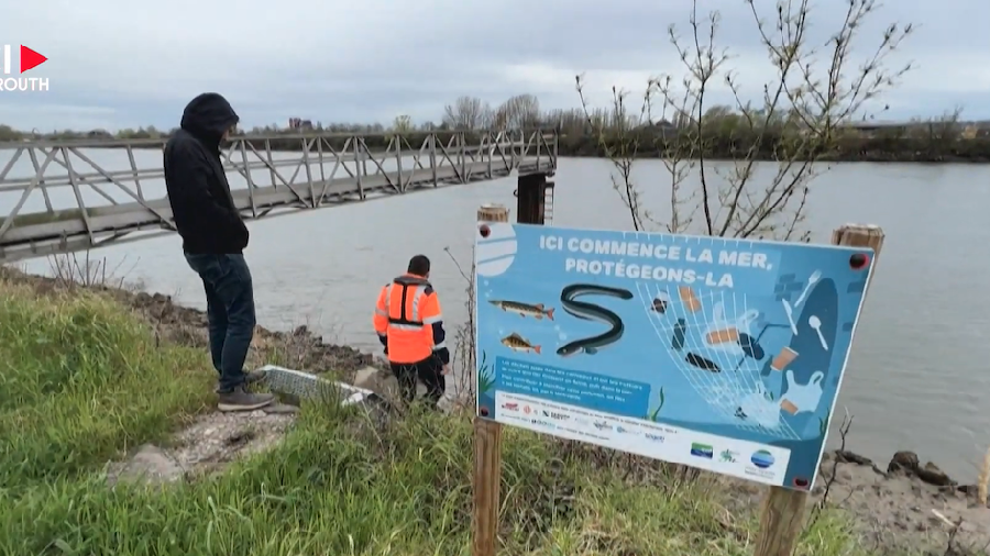 La Seine, une machine à fabriquer des micro-plastiques