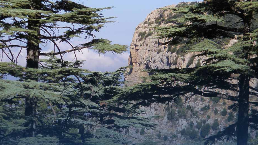 Réserves naturelles: entrée gratuite le 10 mars