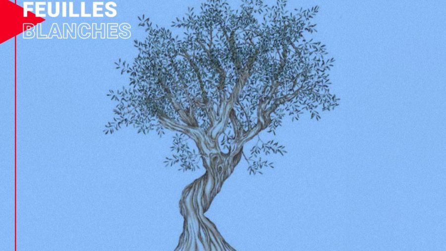 Lettres à Beyrouth, juste après (4) : L’ingratitude. Ou crachons sur la terre qui nous a bénis.