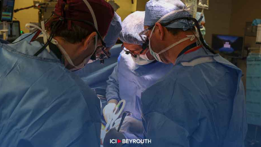 Un rein de porc transplanté sur un patient vivant