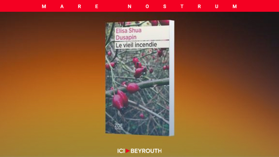 «Le vieil incendie» d'Elisa Shua Dusapin: goûts d'enfance