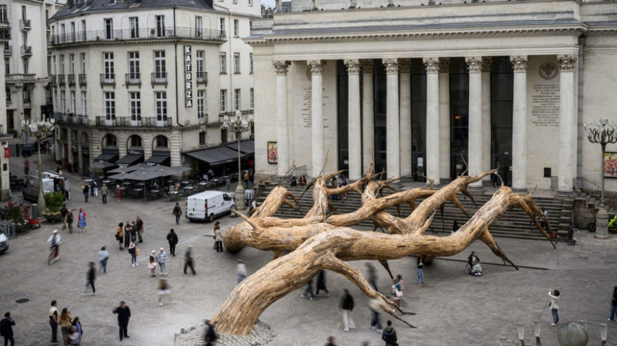 Les arbres, stars de l’été au Voyage à Nantes