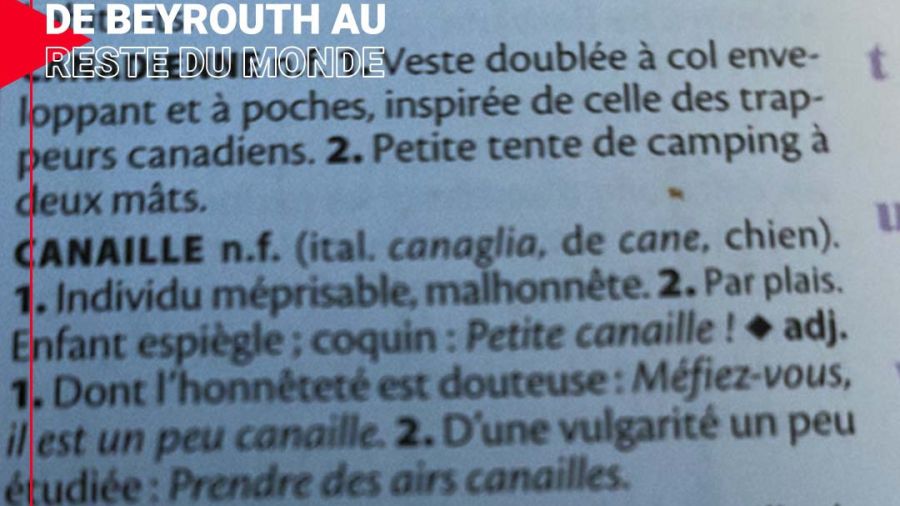 Vieille canaille