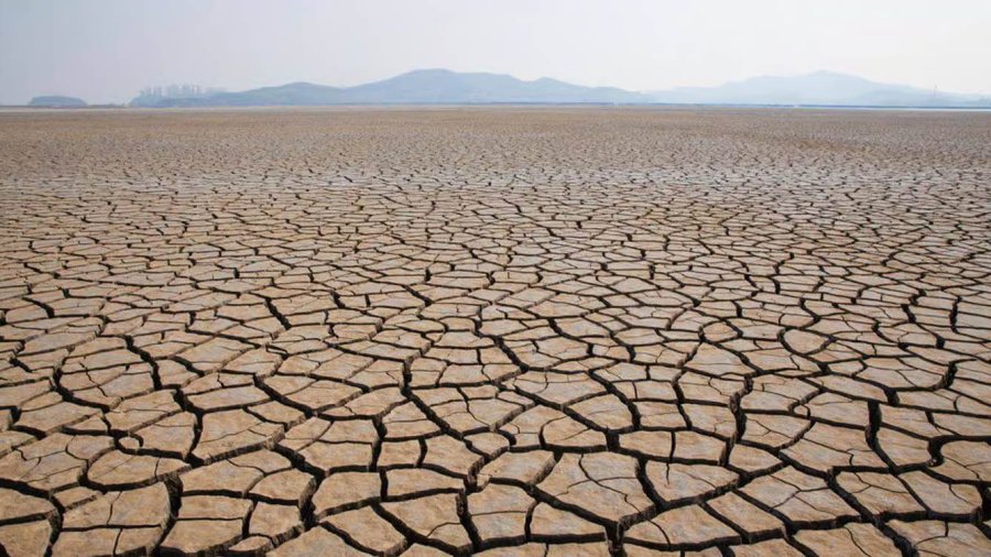Crise de l'eau: décryptage d’un phénomène mondial