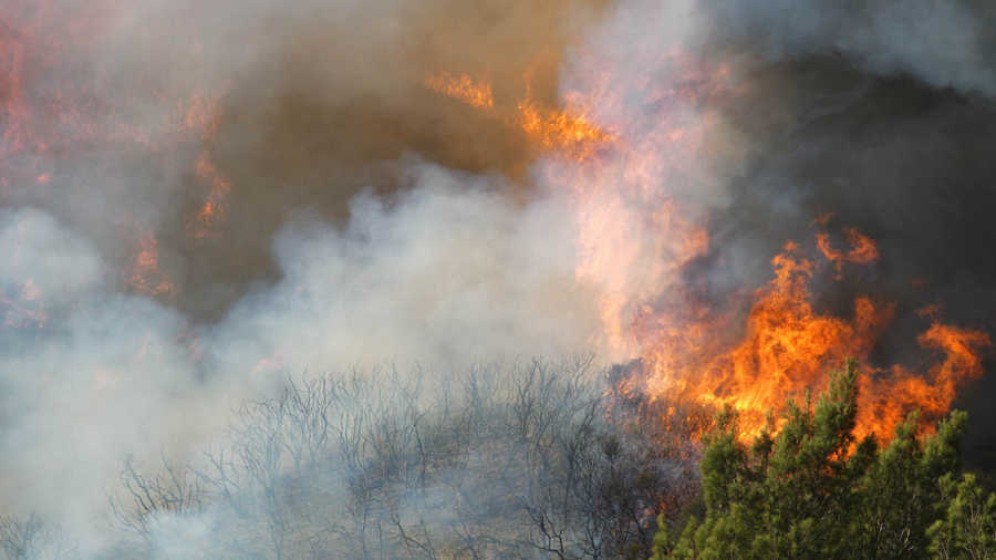 Limassol en flammes