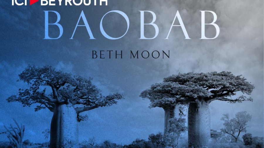 Baobab de Beth Moon: hommage à l’arbre à l’envers